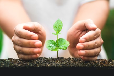 photo désir changement_1121097977